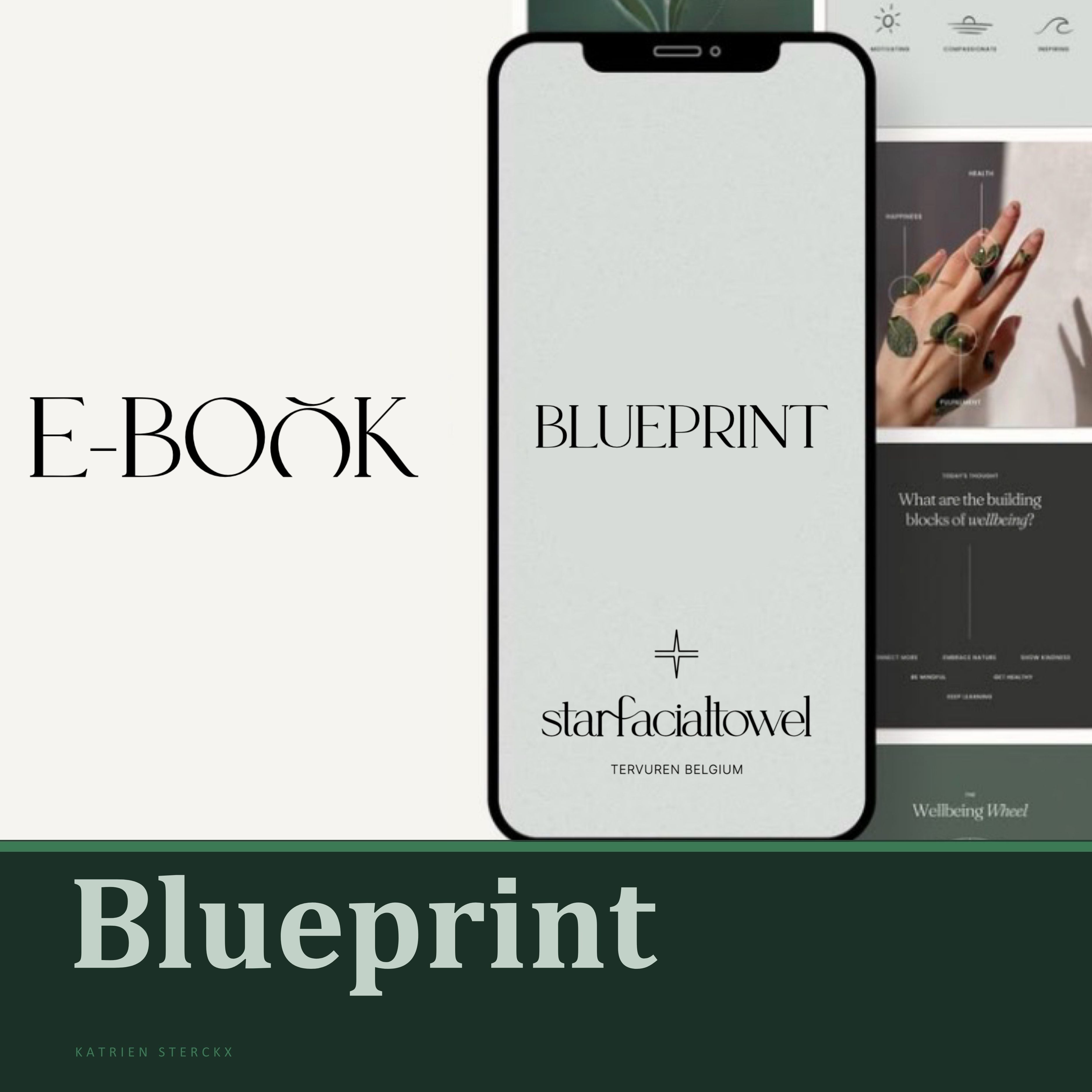 BLUEPRINT_VISUAL.jpg