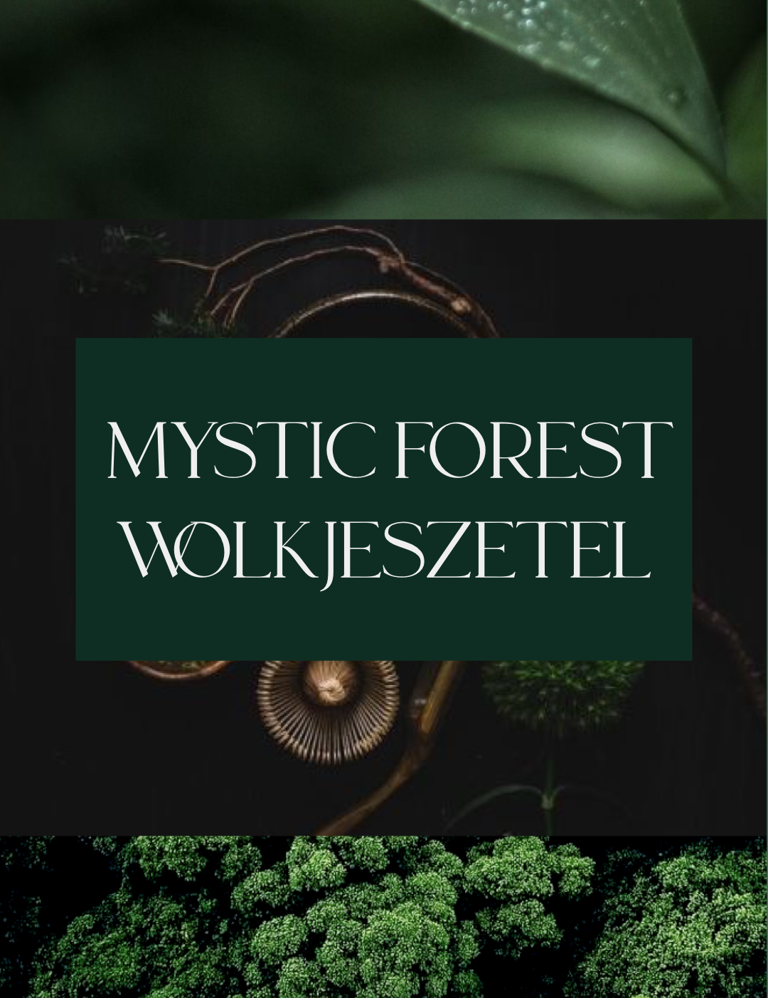 Collage_Mystic_Forest.png