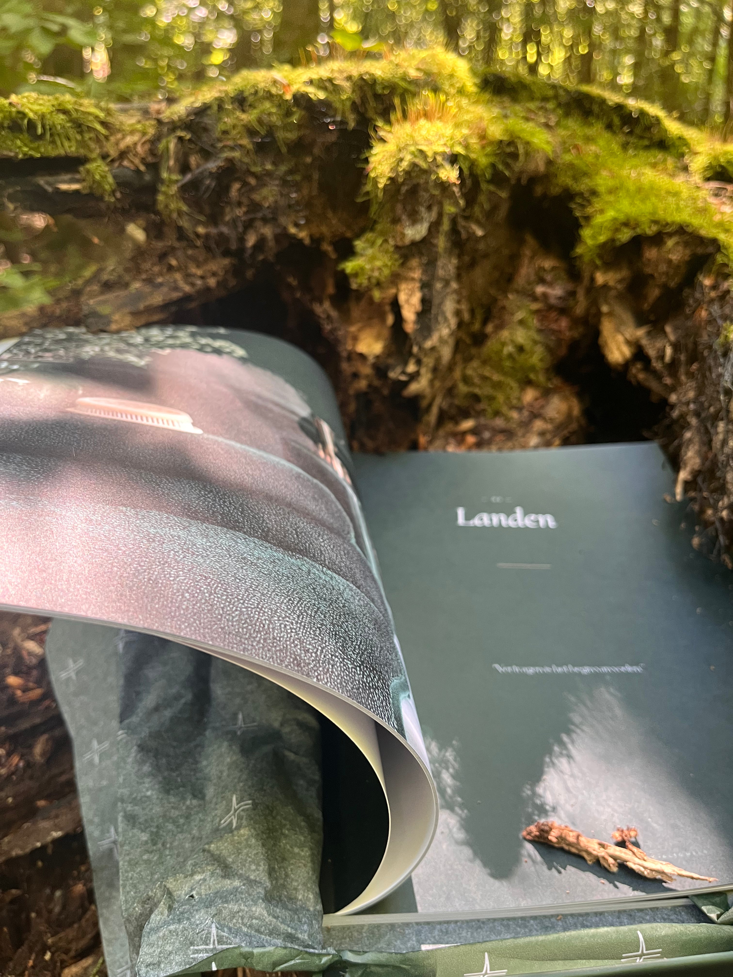 🌲 The Beyond Facial Book