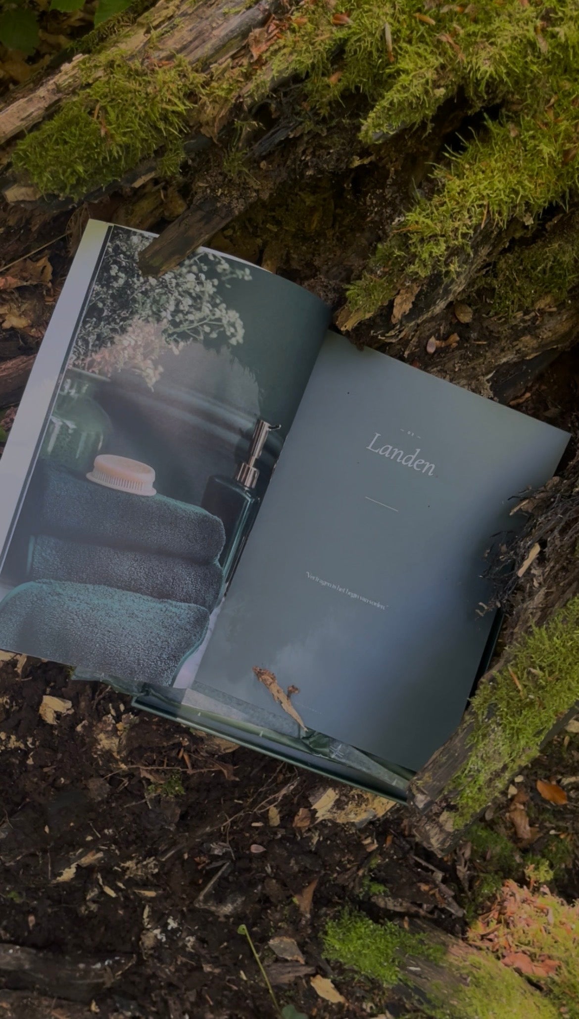 🌲 The Beyond Facial Book