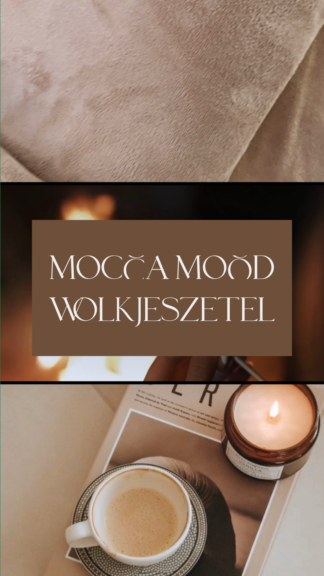 🐻 The Mocca Mood WOLKJESZETEL®