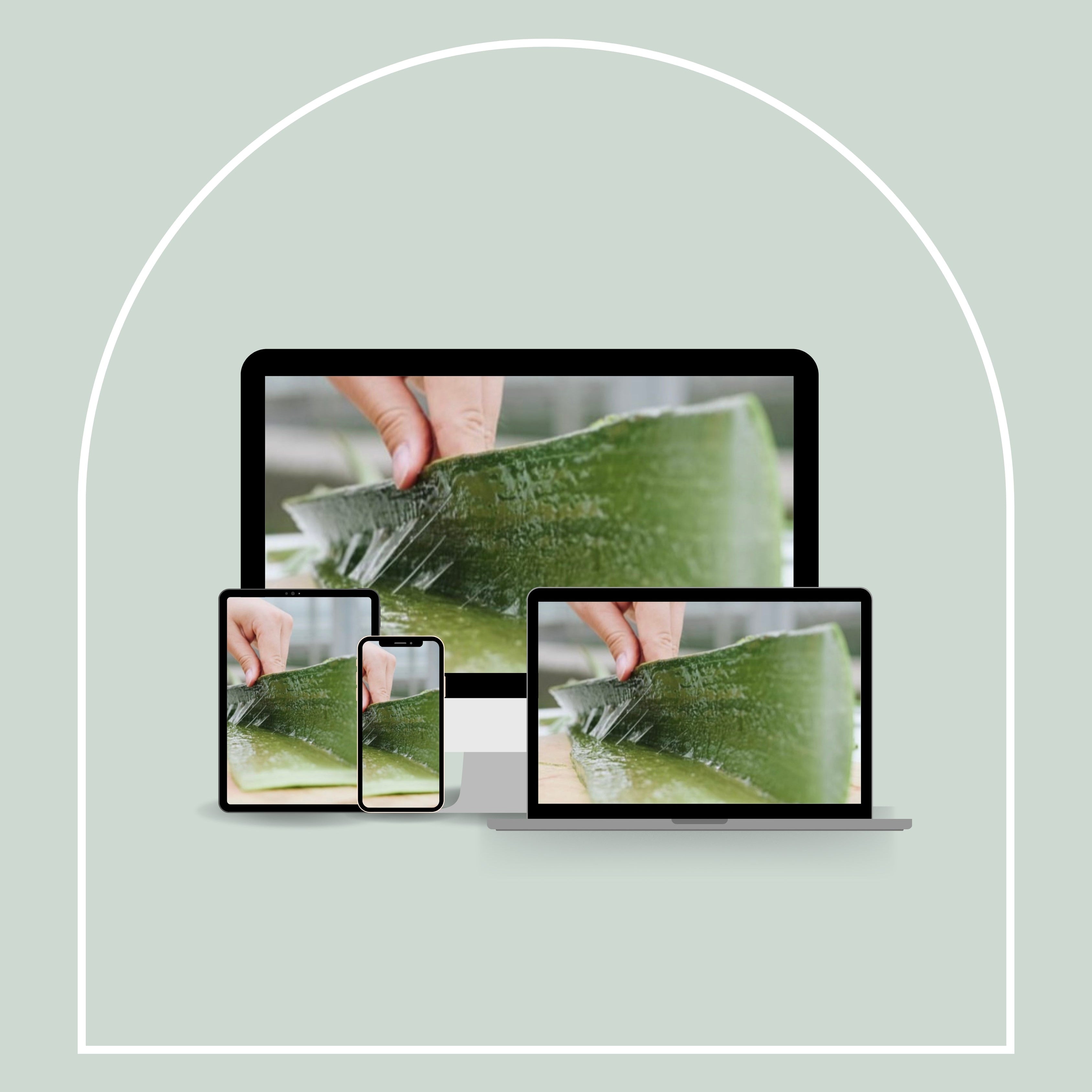 Fresh Aloë Online
